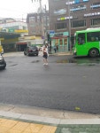 횡단보도 아닌 횡단보도 : 어린이과학동아&어린이수학동아