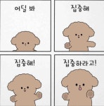 아심심해 : 어린이과학동아&어린이수학동아