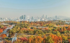 취미 부자들의 알록달록 가을 즐기기 > 내친구 서울 > 서울이야기 > 시민소통 > 정보소통광장 취미 부자들의 알록달록 가을 즐기기