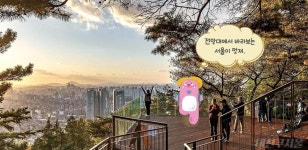 새로 생긴 남산 숲길! 도심 숲속 명소 즐겨요 > 내친구 서울 > 서울이야기 > 시민소통 > 정보소통광장 새로 생긴 남산 숲길! 도심 숲속 명소 즐겨요