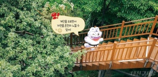 새로 생긴 남산 숲길! 도심 숲속 명소 즐겨요 > 내친구 서울 > 서울이야기 > 시민소통 > 정보소통광장 새로 생긴 남산 숲길! 도심 숲속 명소 즐겨요