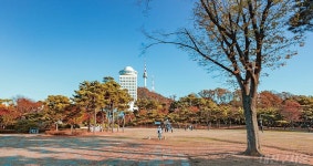 새로 생긴 남산 숲길! 도심 숲속 명소 즐겨요 > 내친구 서울 > 서울이야기 > 시민소통 > 정보소통광장 새로 생긴 남산 숲길! 도심 숲속 명소 즐겨요