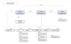 [이아이디] [정정]증권신고서(지분증권)