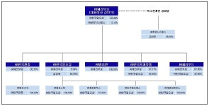 [체리부로] [정정]사업보고서(일반법인)