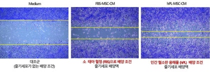[풍전약품] 분기보고서(일반법인)
