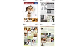 프리랜서 디자이너입니다 > 구직 | KMUG 케이머그 프리랜서 디자이너입니다 >  | KMUG 케이머그