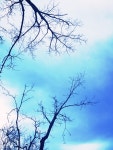 가을 하늘 > 디자인 자료실 | KMUG