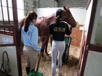 목장의 파티 > 나의 인스타K - KMUG 케이머그