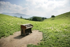 대관령 양떼목장 > 나의 인스타K - KMUG 케이머그