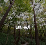 국립산림과학원 산림과학지식서비스 > 지식정보서비스 > 임업기술핸드북