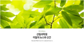 국립산림과학원 산림과학지식서비스 > 지식정보서비스 > 임업기술핸드북