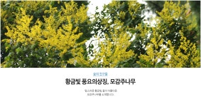 국립산림과학원 산림과학지식서비스 > 지식정보서비스 > 임업기술핸드북