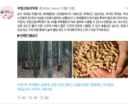 국립산림과학원 산림과학지식서비스 > 지식정보서비스 > 임업기술핸드북