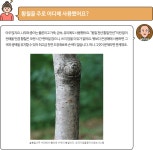 국립산림과학원 산림과학지식서비스 > 지식정보서비스 > 임업기술핸드북