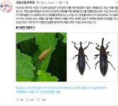 국립산림과학원 산림과학지식서비스 > 지식정보서비스 > 임업기술핸드북
