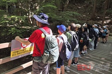 부산 갈매기들의 시원한 여름나기-[에듀뉴스] : 한국사진방송 k-arts 韩国艺术 Global art platform  : 해피 뉴스