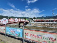 [충청신문 주말여행] 대구·경북 가볼만한 곳, 달성 대구현대미술제·남구 청년예술제 해야청청·따따블페스티벌·금호강바람소리길축제... 