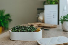 홍차 Archives - 42 중 10 번째 페이지 - 코메디닷컴