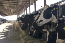 영양제 Archives - 69 중 16 번째 페이지 - 코메디닷컴