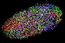 유전 Archives - 632 중 67 번째 페이지 - 코메디닷컴