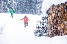 두통 Archives - 396 중 22 번째 페이지 - 코메디닷컴