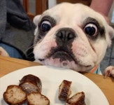 잠 Archives - 1105 중 20 번째 페이지 - 코메디닷컴