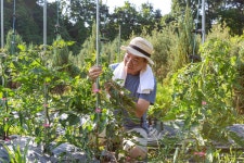 채소 Archives - 836 중 8 번째 페이지 - 코메디닷컴