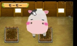 Story of Seasons: The Tale of Two Towns+ - Kotaku
