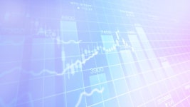 Audit and Assurance services