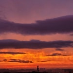 스푼 | #민물장어의꿈 캐스트