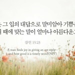 스푼 | #지혜로운자 캐스트