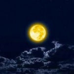 스푼 | #이모션 캐스트