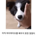 스푼 캐스트 | DJ 애옹시의 묘한 라디오ツ 🍊님의 잠들기 5분전 하루를 끝내며..