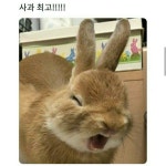 스푼 캐스트 | DJ hong*****님의 코노코노