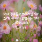 스푼 | #2022년1월16일주일 캐스트