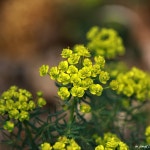 스푼 | 214 캐스트