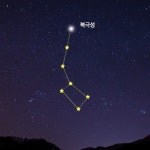 스푼 | #북극성 캐스트