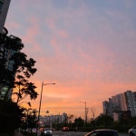 스푼 캐스트 | DJ 브로콜리의님의 오디오 콘텐츠
