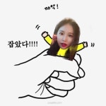 #앙농 - 검색