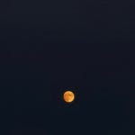 스푼 캐스트 | DJ ʕ유댕이ʔ님의 짧방할게 다 드루와