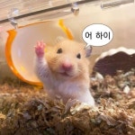 #합창 캐스트 검색 결과 | 스푼 Spoon