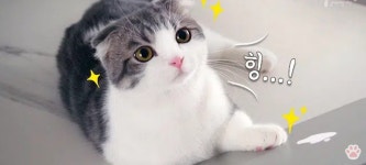 스푼 캐스트 | DJ 4p62*****님의 밥은먹고다니니?