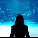 스푼 캐스트 | DJ parang star님의 달과 6펜스 cover