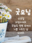 스푼 | #좋은아침지내세요💕 캐스트