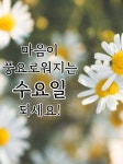 스푼 | #오늘도수고하셨습니다 캐스트