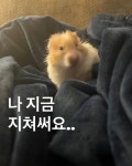 스푼 | DJ ⠀⠀⠀⠀⠀⠀⠀⠀⠀결님의 채널 - 스푼라디오 (Spoon Radio)
