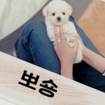 스푼 | DJ 뽀숑 ✅님의 채널 - 스푼라디오 (Spoon Radio) 스푼 | DJ 뽀숑  ✅님의 채널 - 스푼라디오 (Spoon Radio)