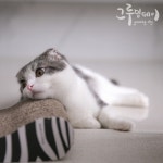 스푼 캐스트 | DJ 🌬Soul Tree🎄님의 너 사용법 1절 그녀에게 전합니다.