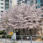 스푼 | 일본어 검색 결과 - 스푼라디오 (Spoon Radio)