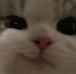 스푼 | DJ 웅사랑행님의 채널